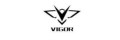 Logo VIGOR
