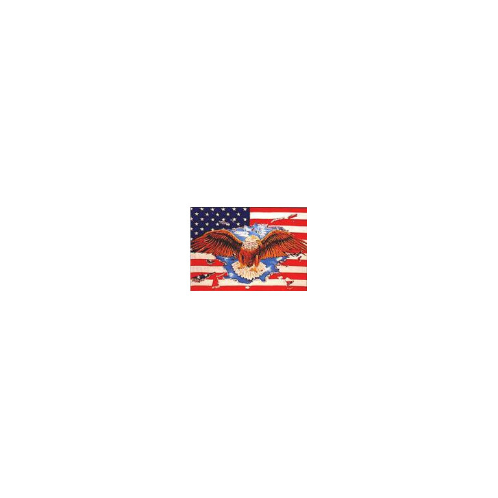 Flag U.S.A. with eagle